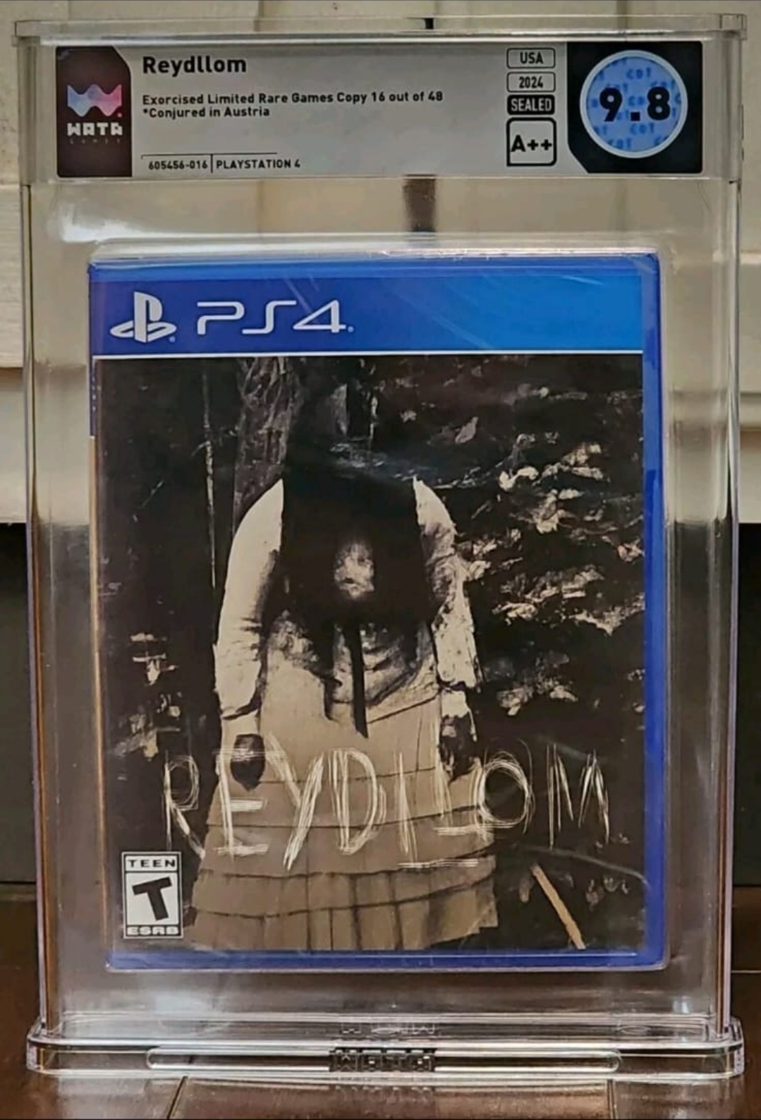 Reydllom بين الخيال وحقيقه